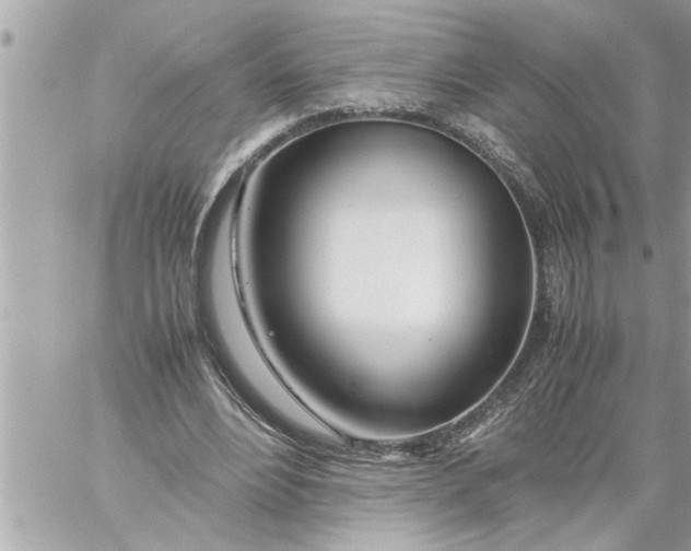 X0000059850488200511111815