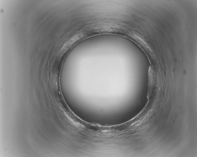 X0000059850489200511111815