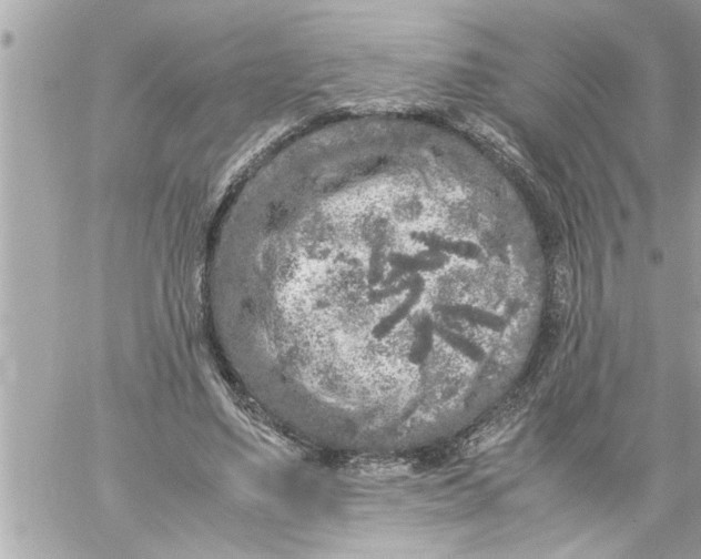 X0000059850491200511111815