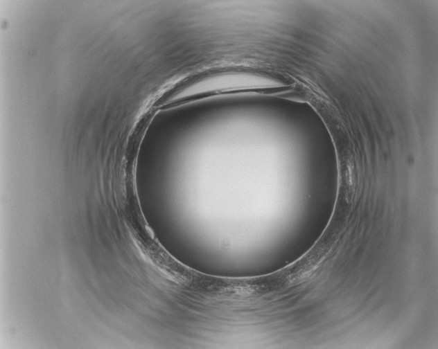 X0000059850492200511111815