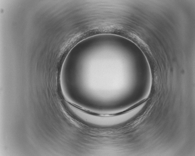 X0000059850493200511111815