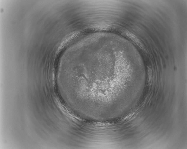 X0000059850494200511111815