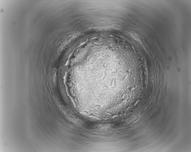 X0000059850495200511111815