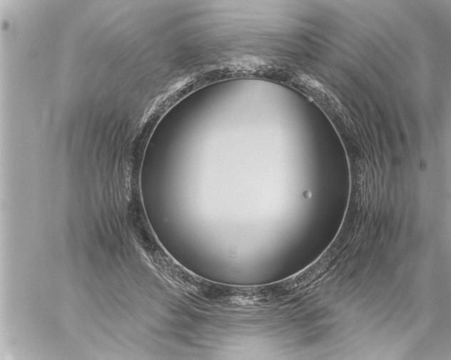 X0000059850496200511111815