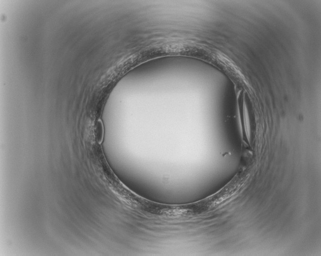 X0000059850497200511111815