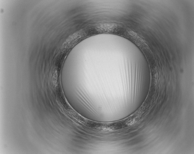 X0000059850498200511111815