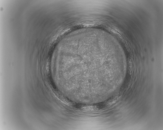 X0000059850499200511111815