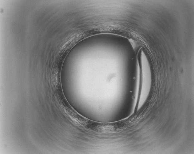 X0000059850501200511111815