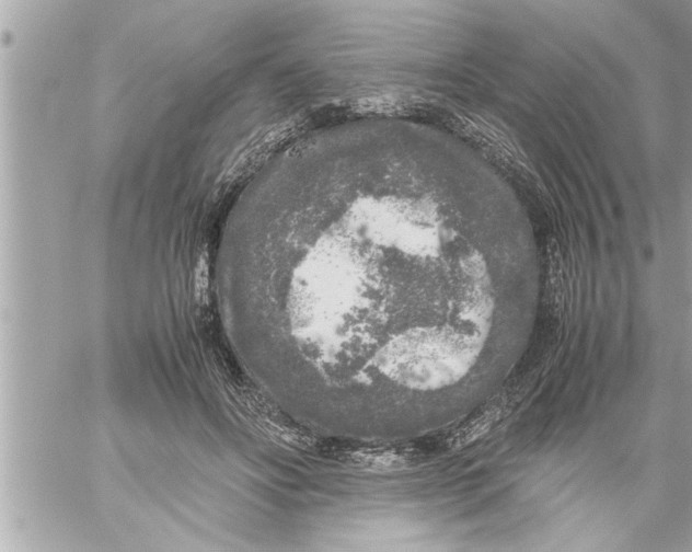 X0000059850502200511111815