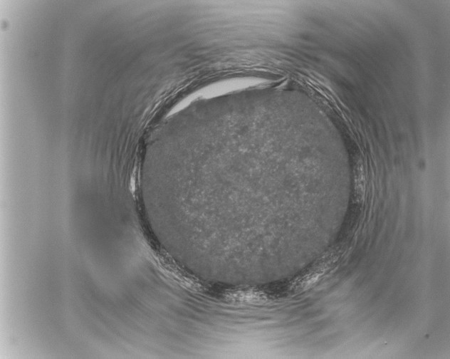 X0000059850503200511111815