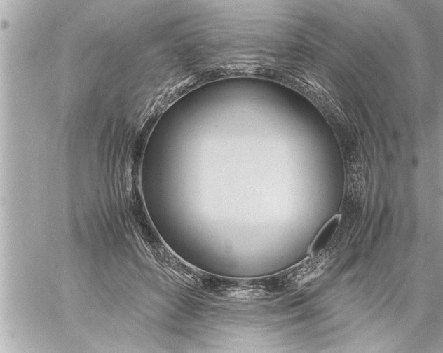 X0000059850504200511111814