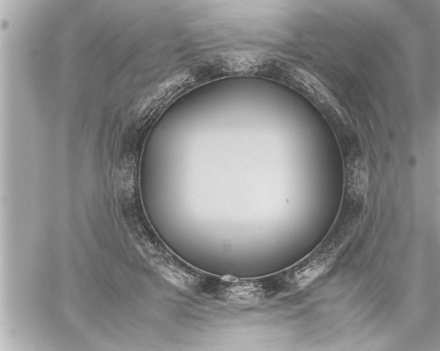 X0000059850505200511111814