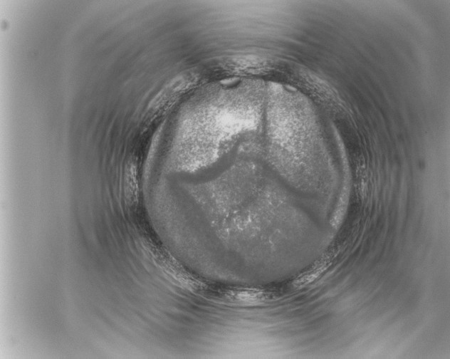 X0000059850506200511111814