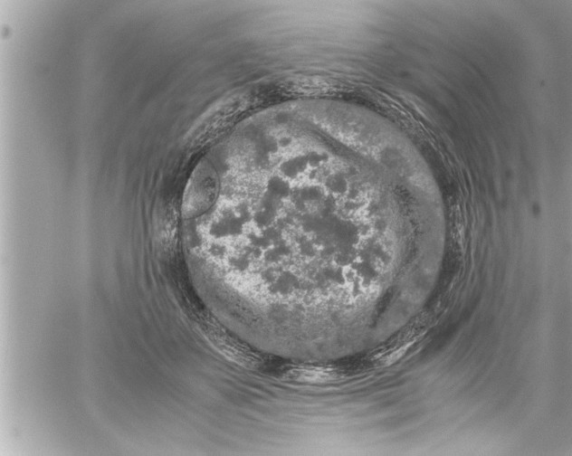 X0000059850507200511111814