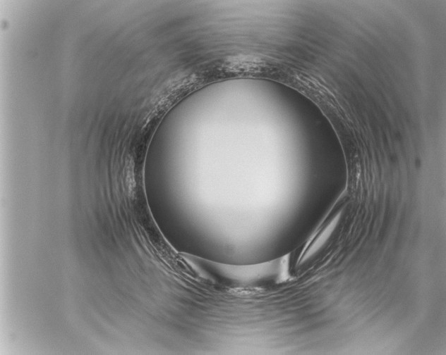 X0000059850508200511111814