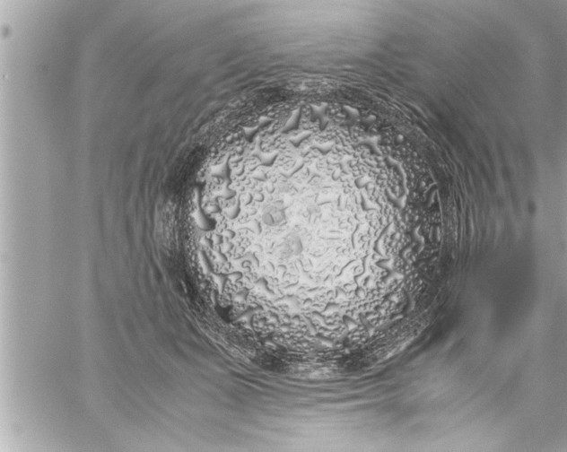 X0000059850511200511111814