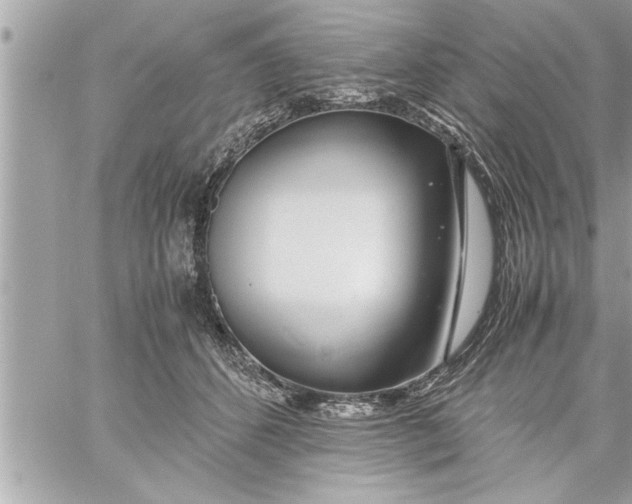 X0000059850512200511111814