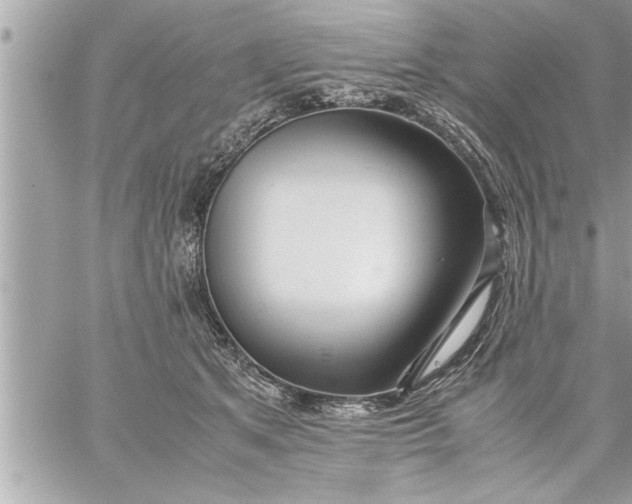 X0000059850513200511111814