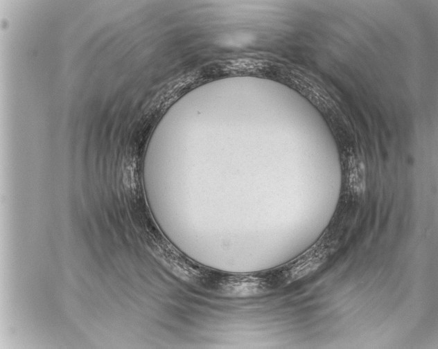 X0000059850514200511111814