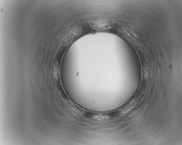 X0000059850515200511111814