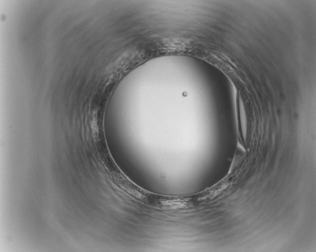 X0000059850516200511111814