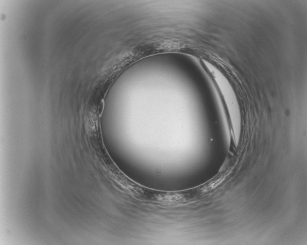 X0000059850517200511111814