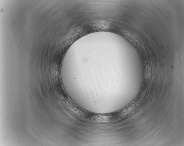 X0000059850518200511111814