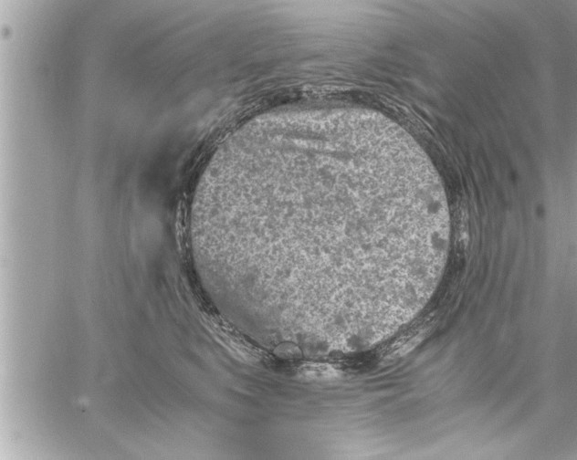 X0000059850519200511111814