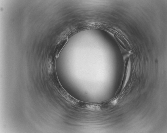 X0000059850520200511111814