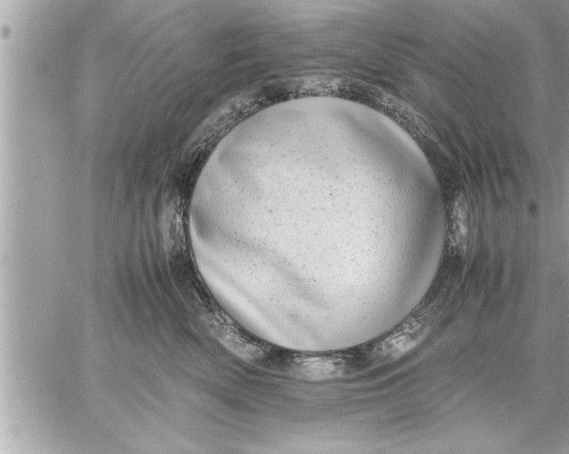 X0000059850522200511111814