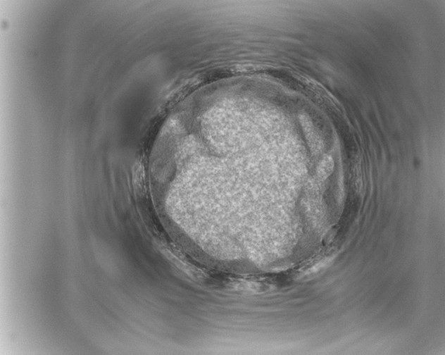 X0000059850523200511111814