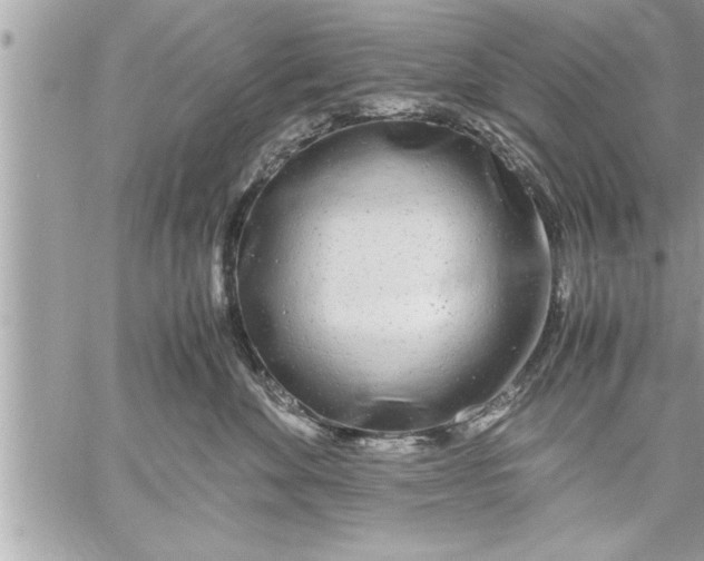 X0000059850524200511111814