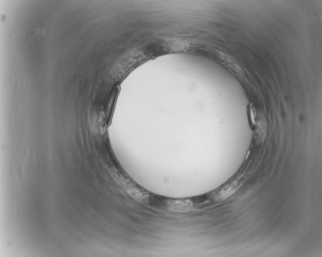 X0000059850525200511111814