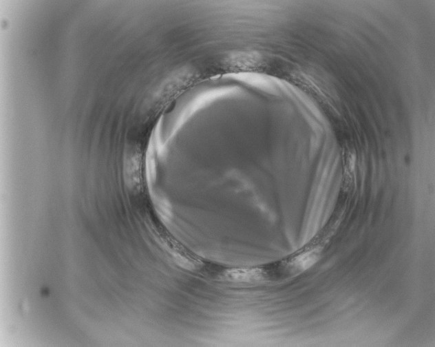 X0000059850526200511111814