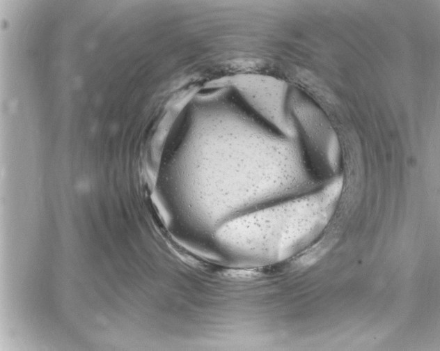 X0000059850528200511111814