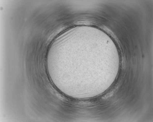 X0000059850529200511111813