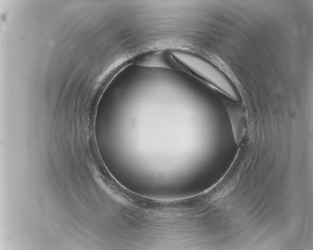 X0000059850530200511111813