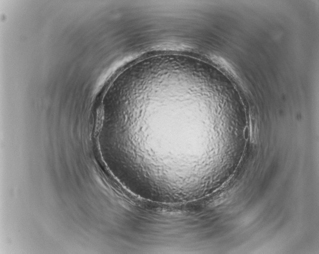 X0000059850531200511111813