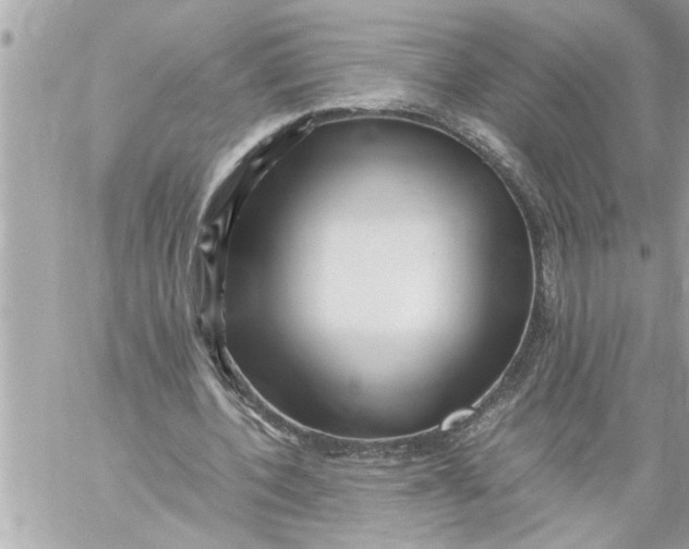 X0000059850532200511111813