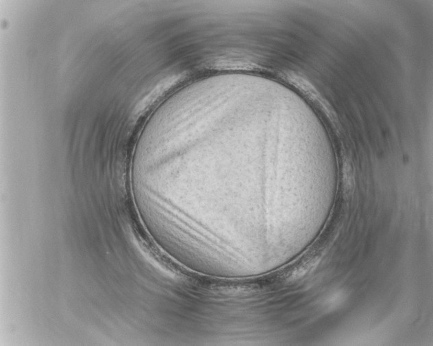 X0000059850533200511111813