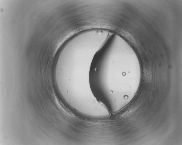 X0000059850534200511111813