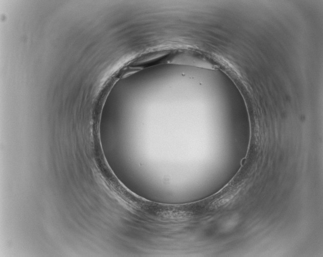 X0000059850535200511111813