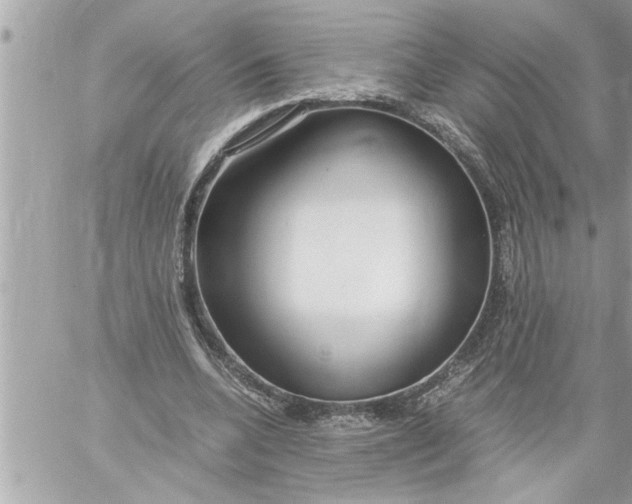 X0000059850536200511111813