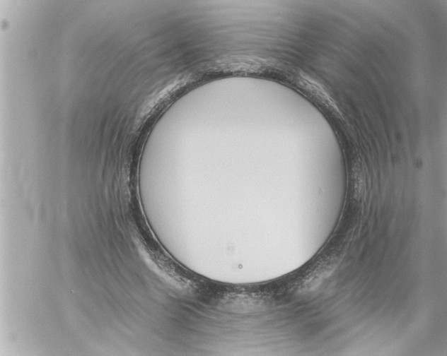 X0000059850538200511111813