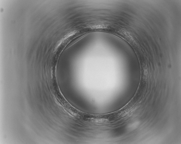 X0000059850539200511111813