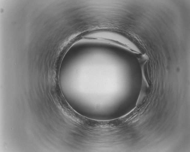 X0000059850540200511111813