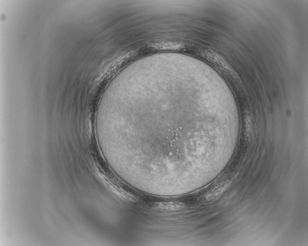 X0000059850541200511111813