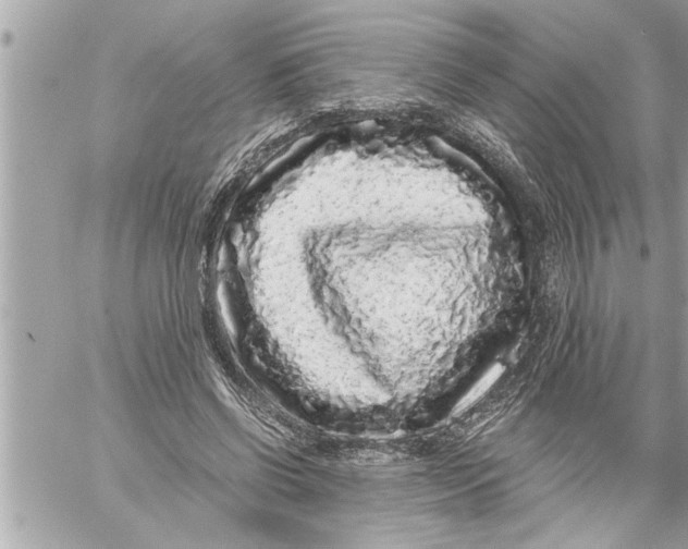 X0000059850542200511111813