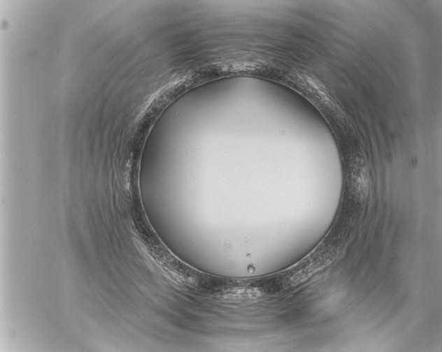 X0000059850543200511111814