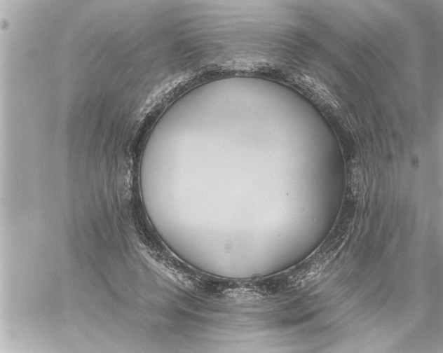 X0000059850544200511111814